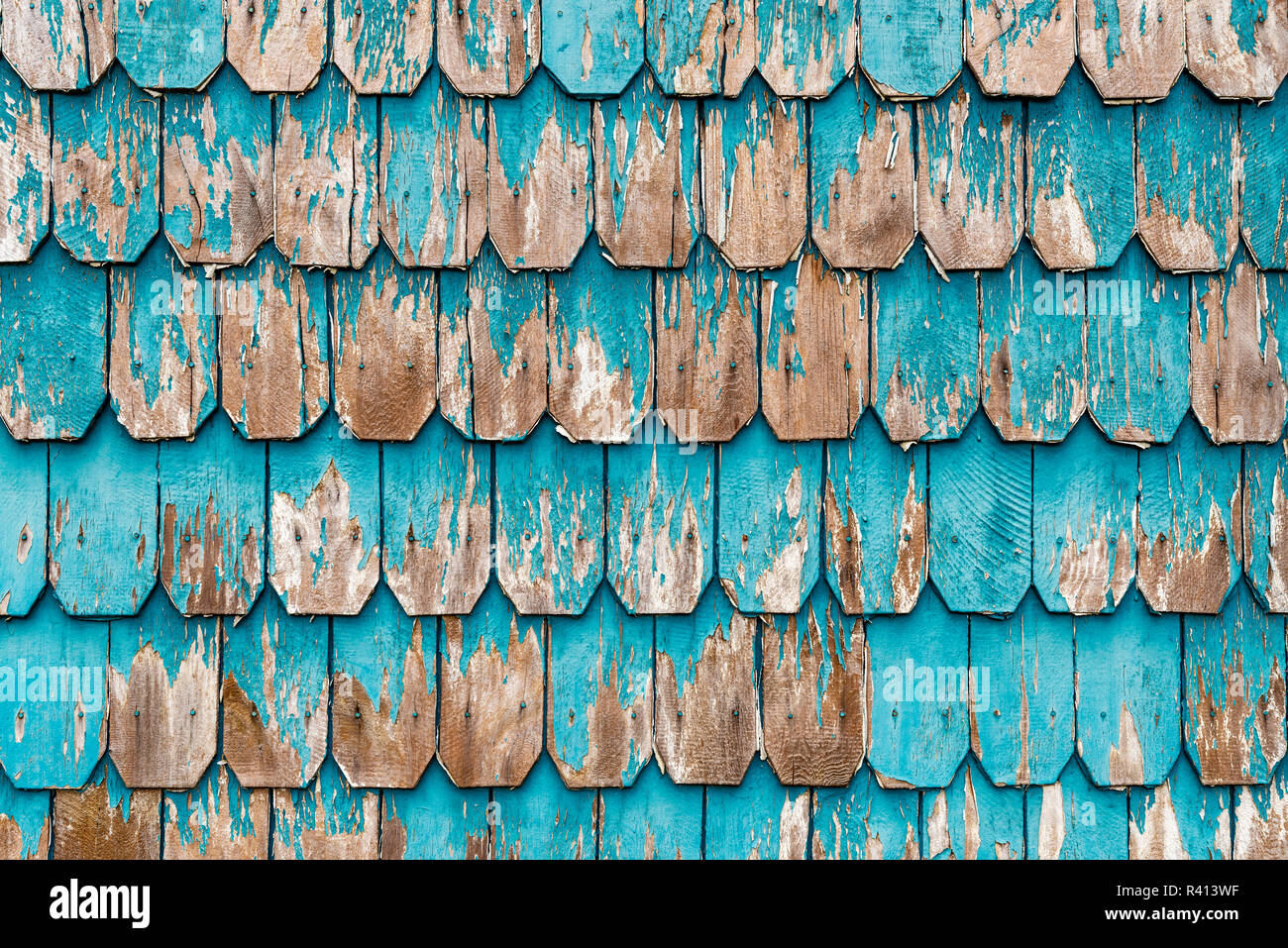 Larch tree wood panels used on the outside wall of houses in the Lake District of Chile in the cities of Puerto Montt, Puerto Varas and Chile Island. Stock Photo