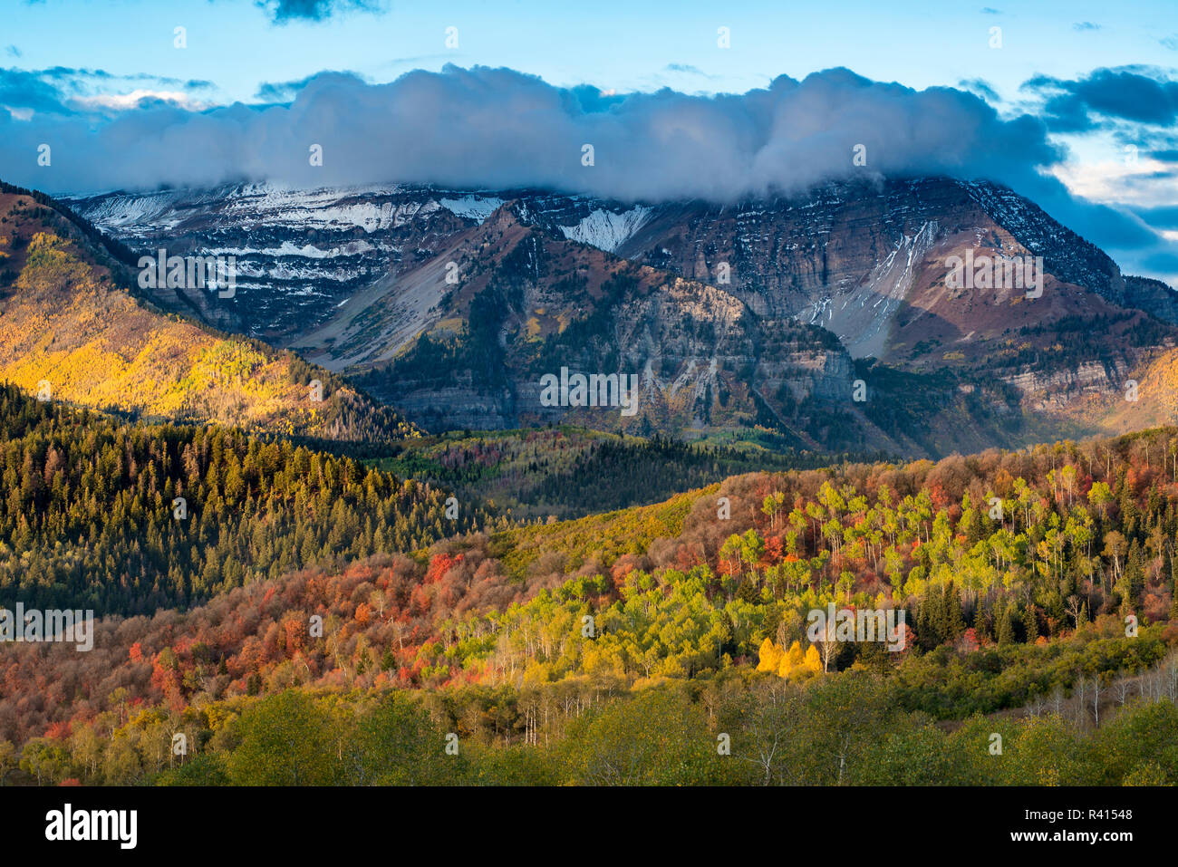 Mount Timpanogos and brilliant Fall foliage, Wasatch Mountains, Utah ...