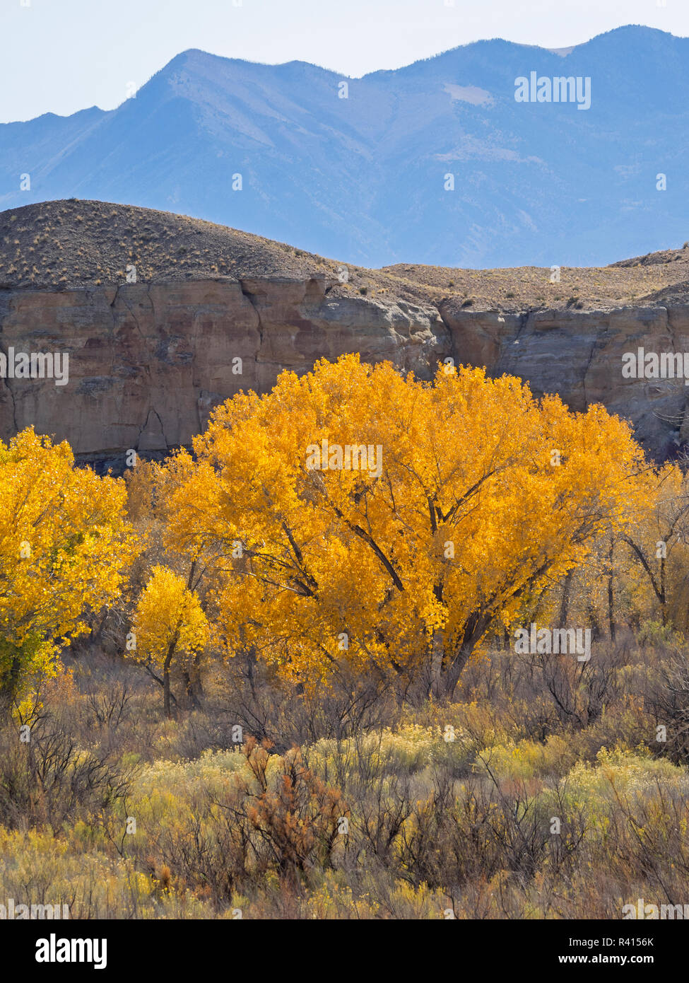 Utah, Wayne County, Upper Blue Hills Stock Photo Alamy
