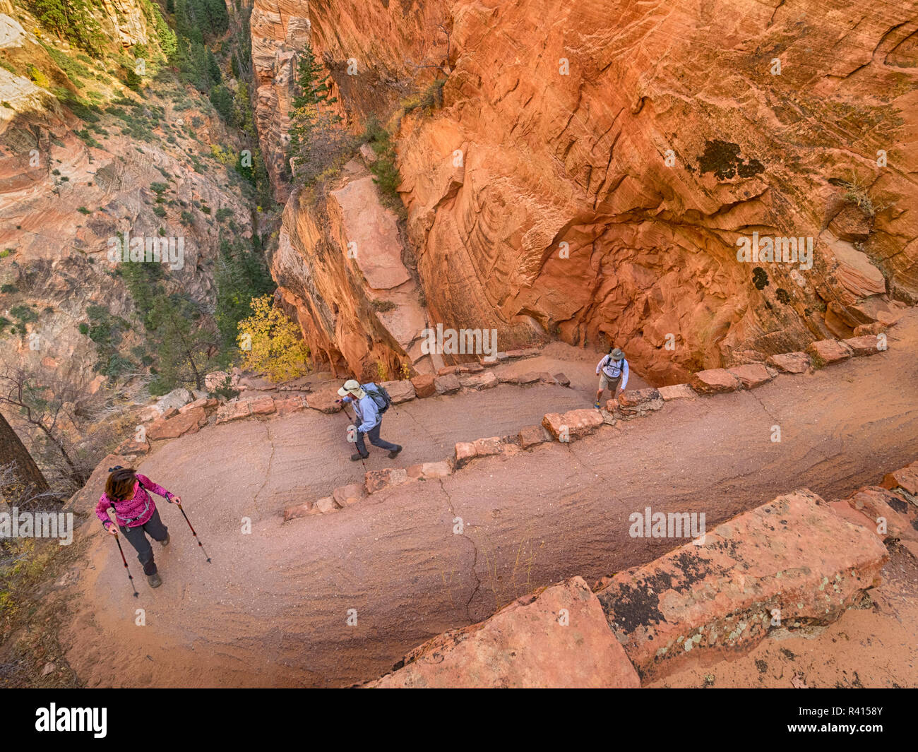 Utah, Zion National Park, Walter's Wiggles, On Trail To Angels Landing ...