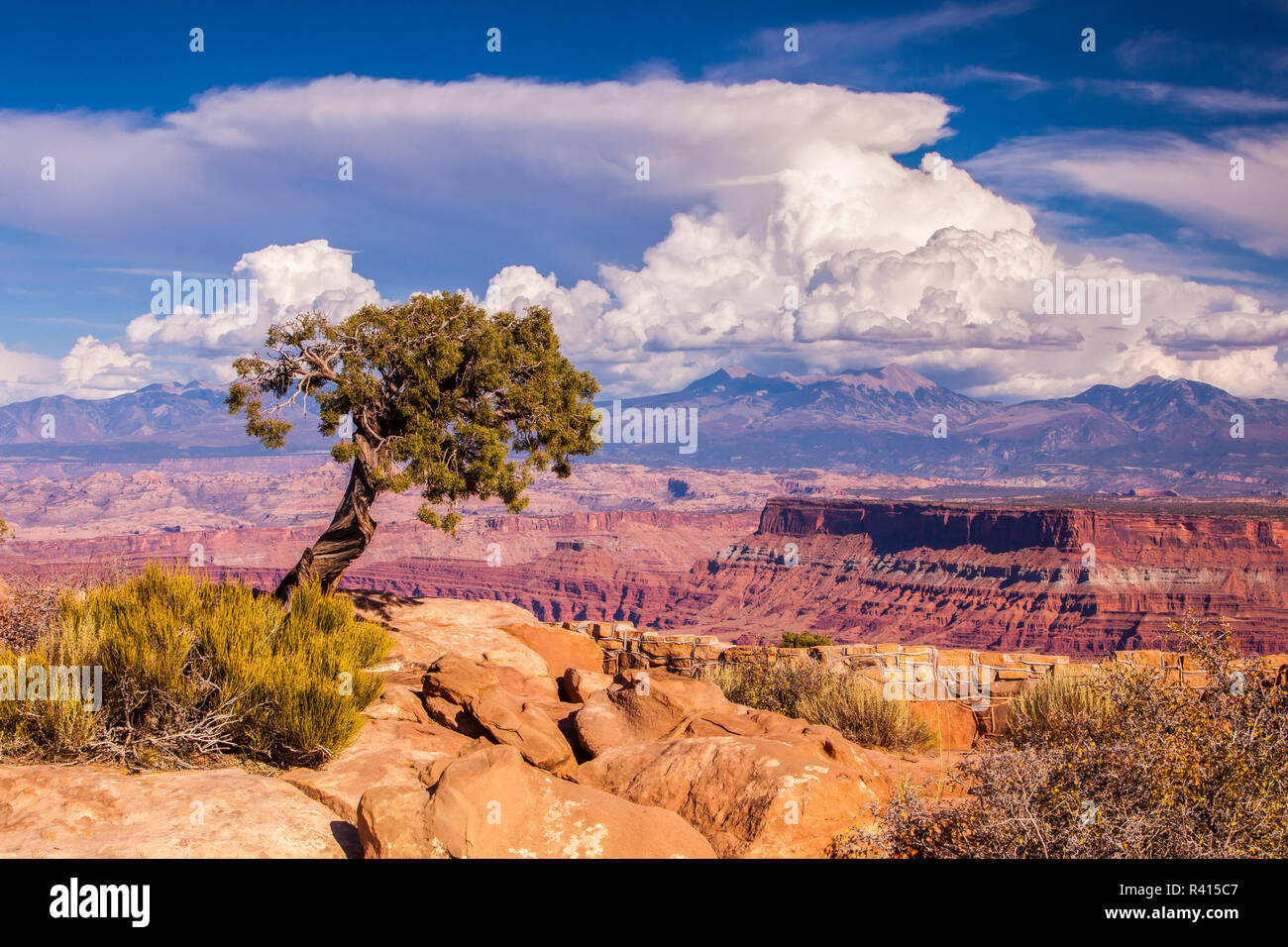 USA, Utah, Moab. Dead Horse Point State Park Overlook and La Sal Mountains Stock Photo
