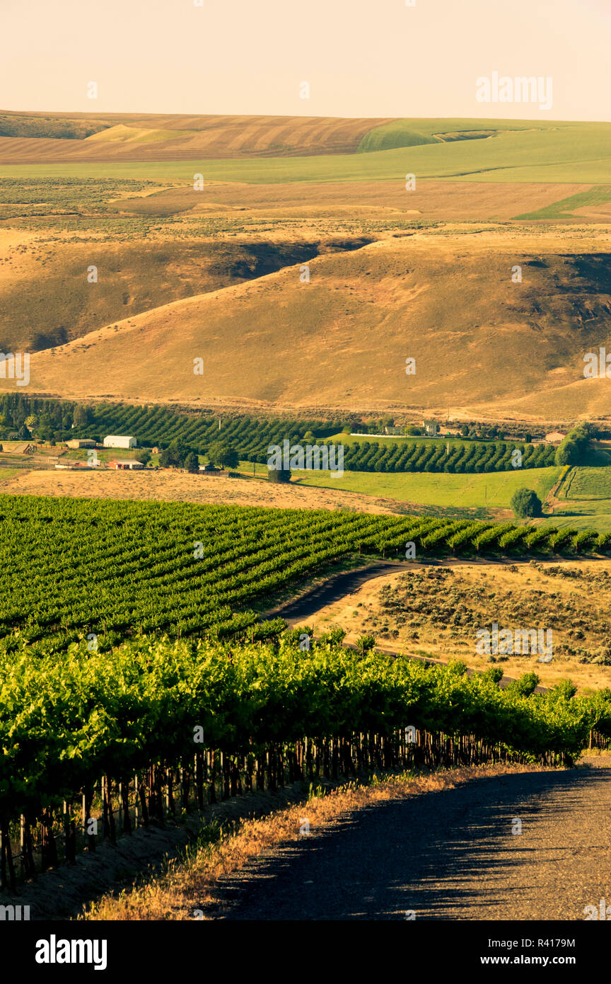 Richland washington hires stock photography and images Alamy