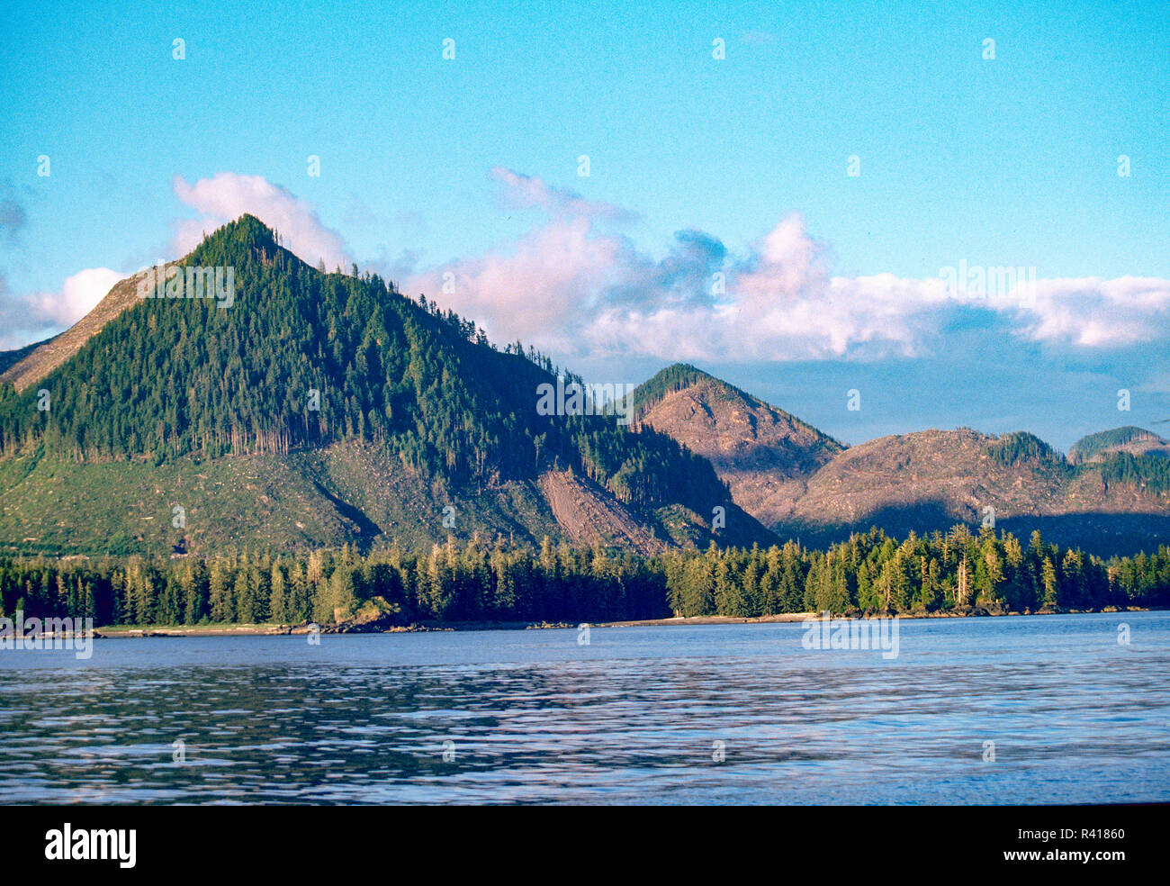 Clearcut near the border of Olympic National Park, Washington State
