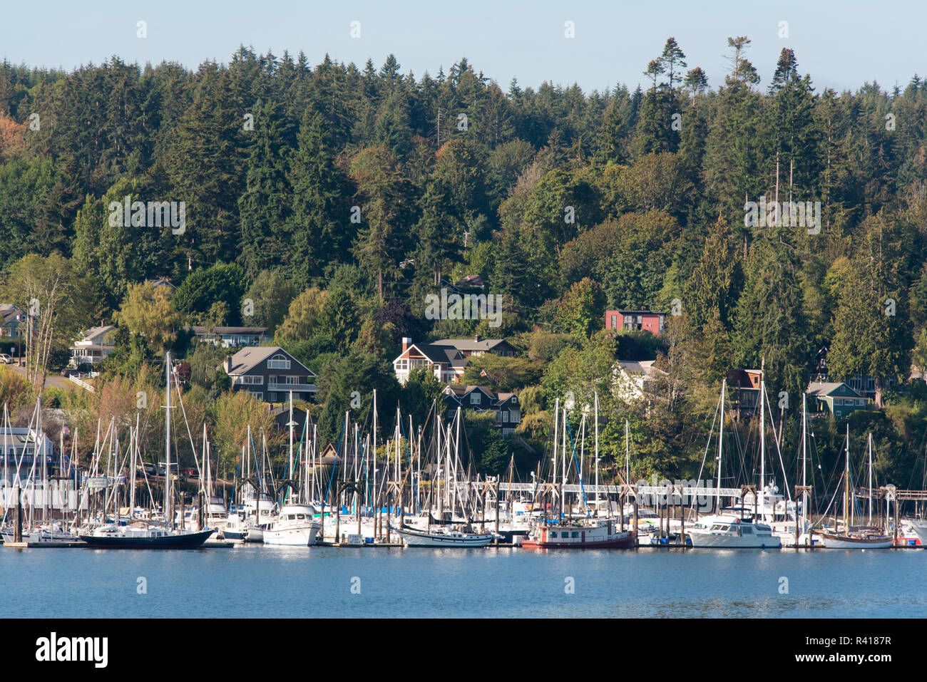 Bainbridge island eagle harbor hires stock photography and images Alamy