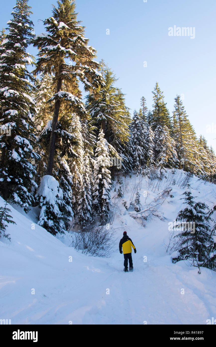 USA, Washington State, Crystal Mountain Resort. Man snowshoeing