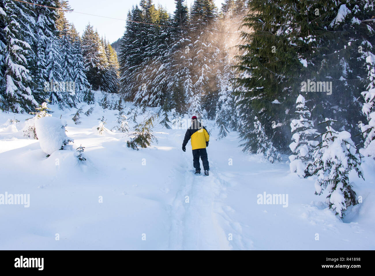 USA, Washington State, Crystal Mountain Resort. Man snowshoeing hillside trail (MR Stock Photo