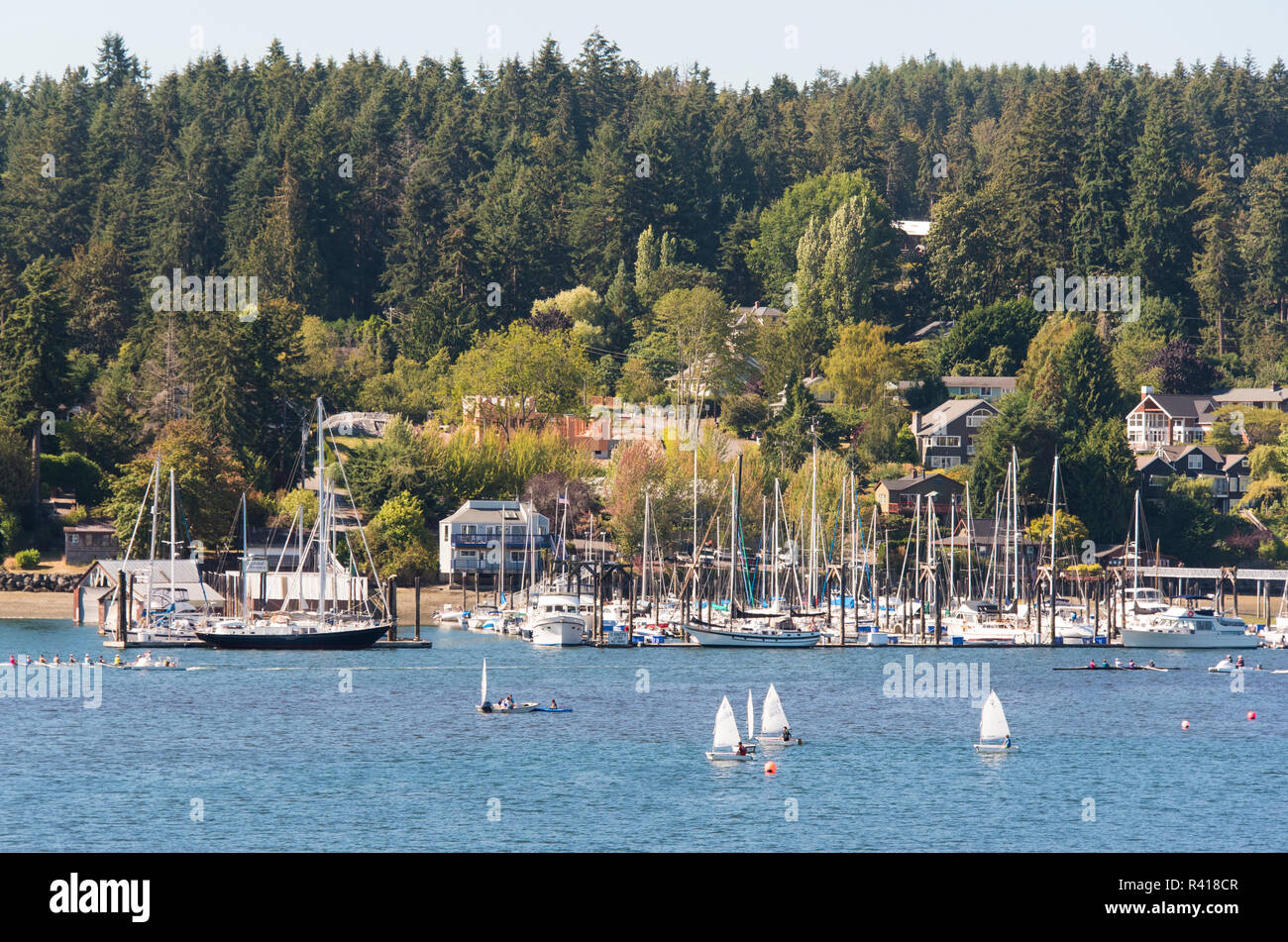 USA, Washington State, Bainbridge Island. Summer sailing lesson and