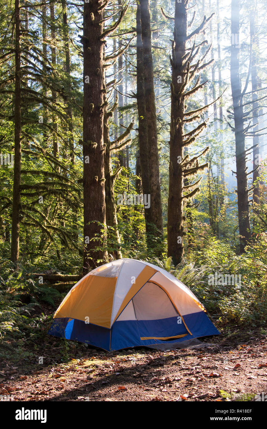 USA, Washington State, Mt. Baker Snoqualmie National Forest. Morning