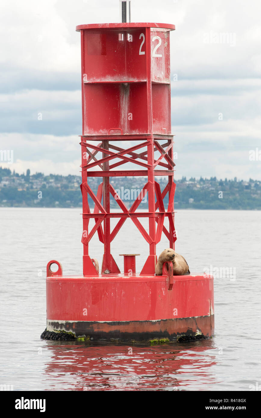 Sound marker hires stock photography and images Alamy