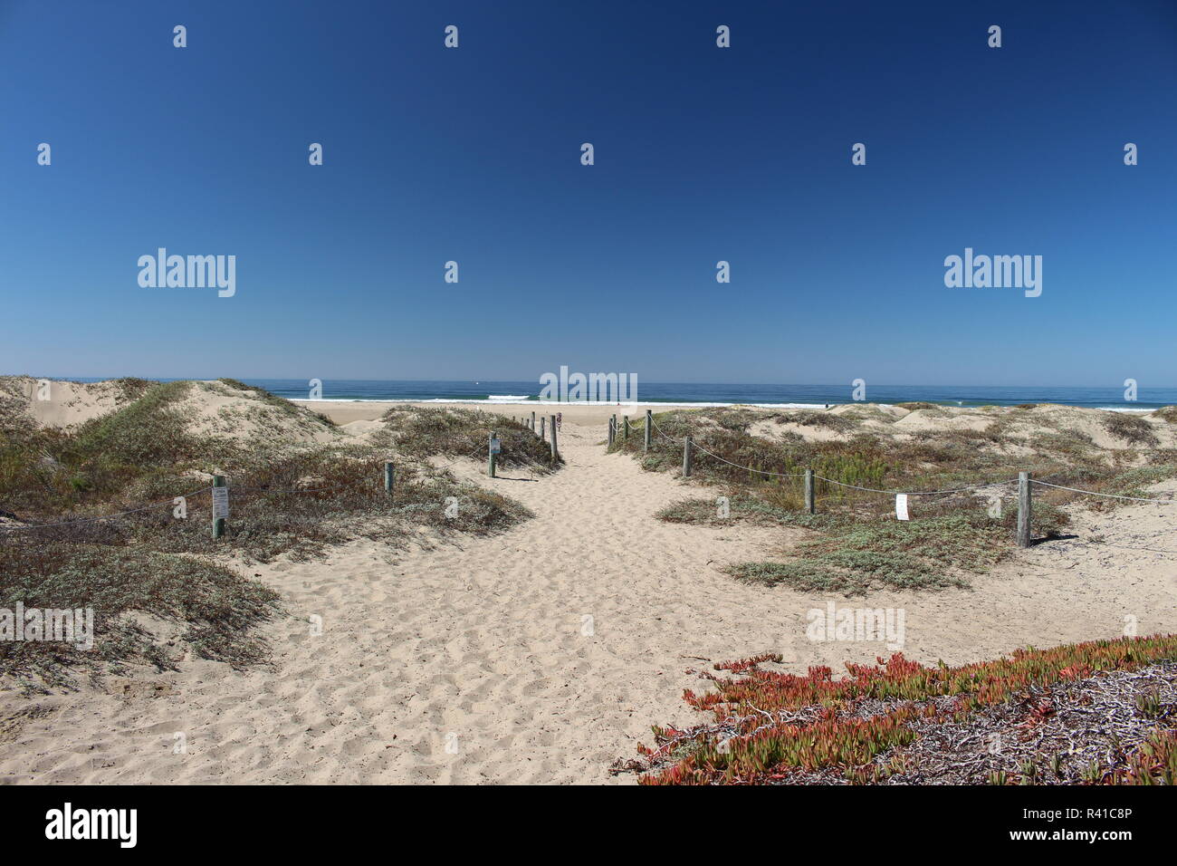 Sandstrand an der Westküste der USA Stock Photo