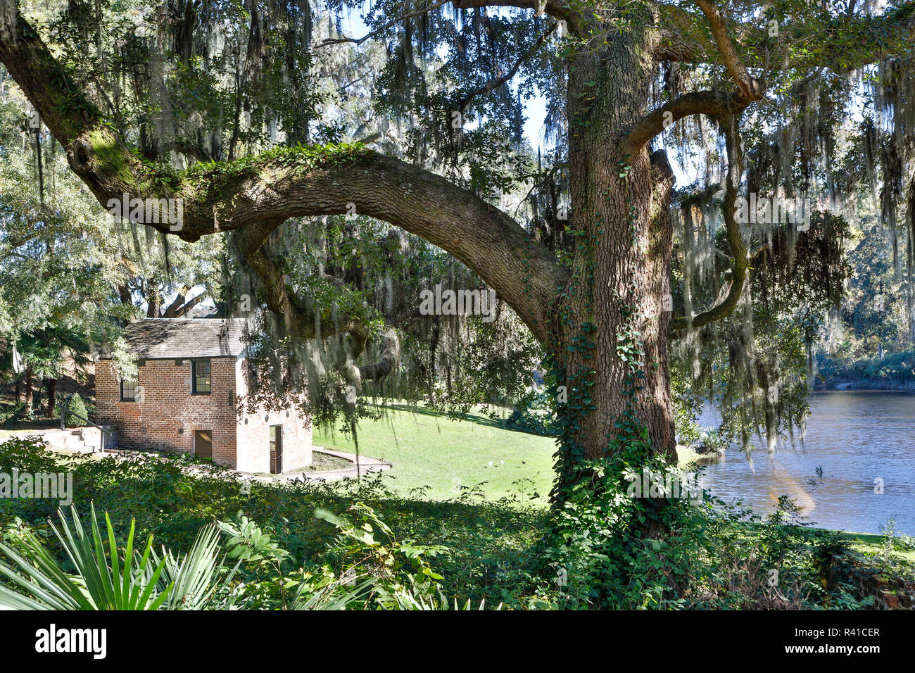 USA, North Carolina, Charleston. Inn at Middleton Place and Plantation landscape Stock Photo