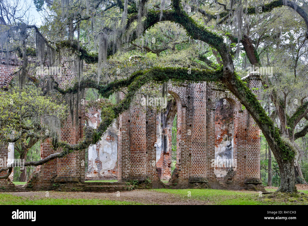 USA, South Carolina, Yemassee, Old Sheldon Church Ruins Stock Photo