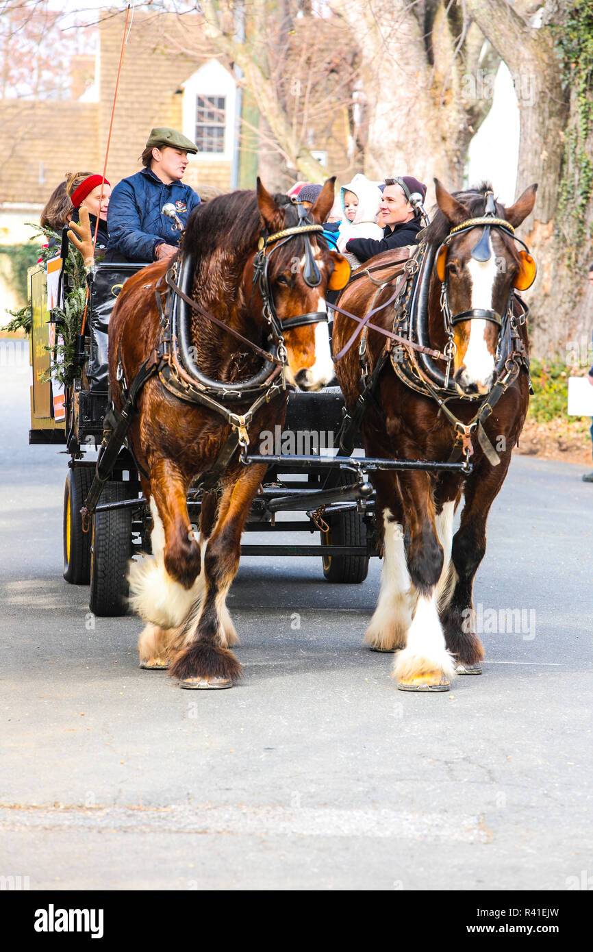 Clydesdale horse and wagon hires stock photography and images Alamy