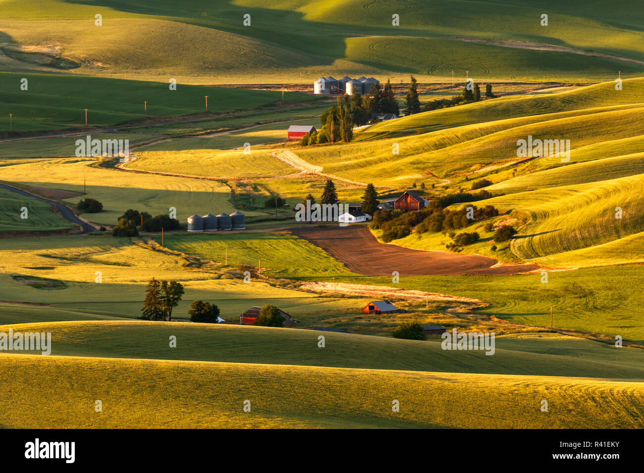 Rolling landscape of wheat fields and red barns viewed from Steptoe Butte, Palouse farming region of Eastern Washington State Stock Photo