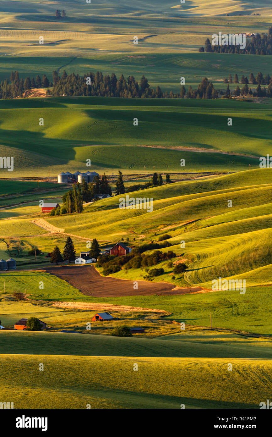 Rolling landscape of wheat fields and red barns viewed from Steptoe Butte, Palouse farming region of Eastern Washington State Stock Photo