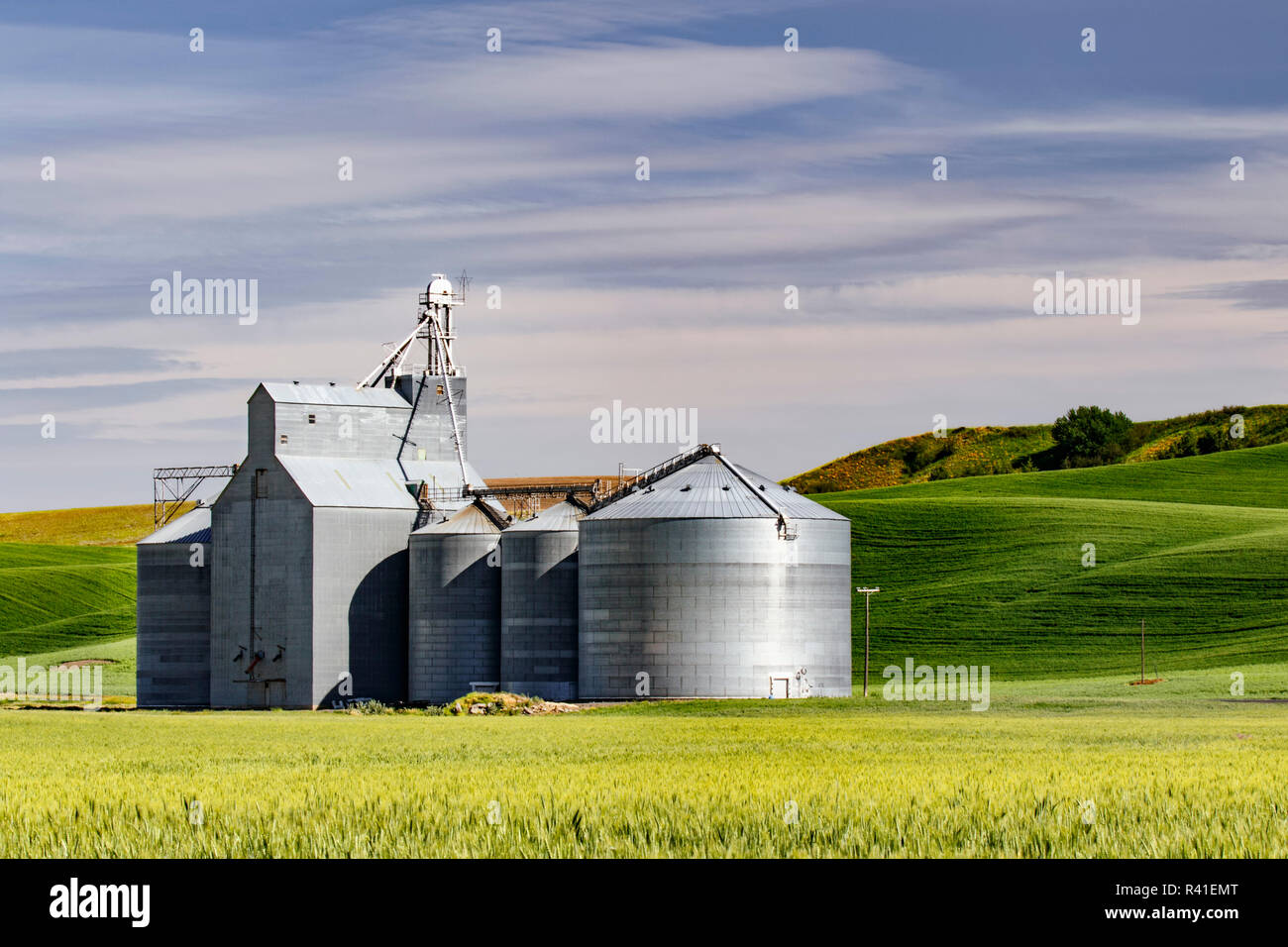 Grain storage silos, Palouse farming region of Eastern Washington State Stock Photo Alamy