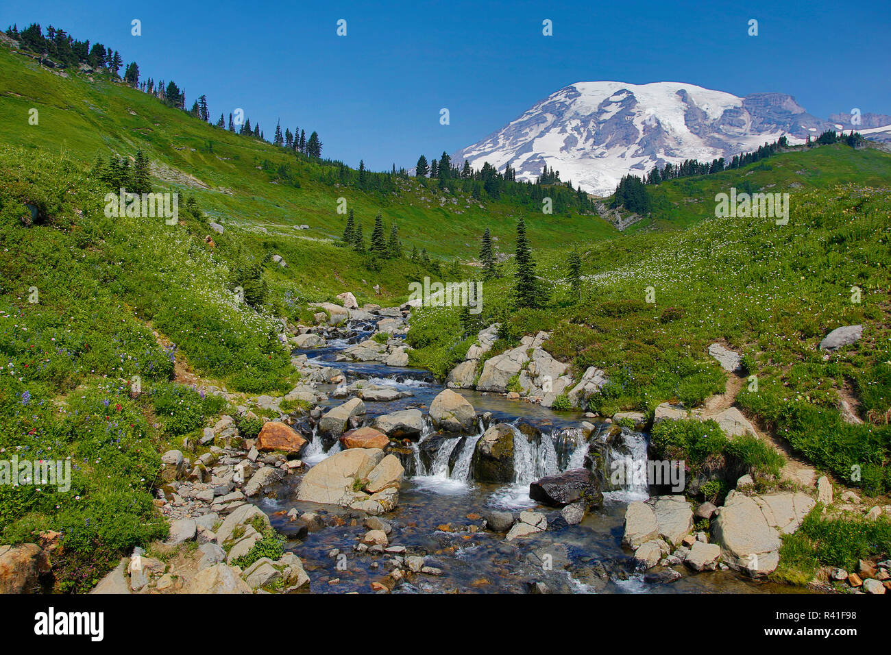 USA, Washington State, Mount Rainier National Park. Mount Rainier and Edith Creek cascade. Stock Photo