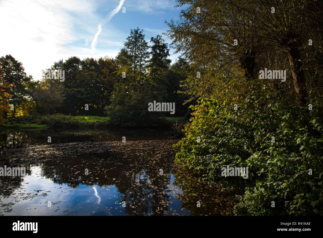 autumn landscape reflection on the lake Stock Photo - Alamy