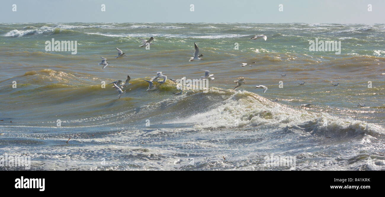 rough sea on the coast of the island of re on the atlantic Stock Photo ...