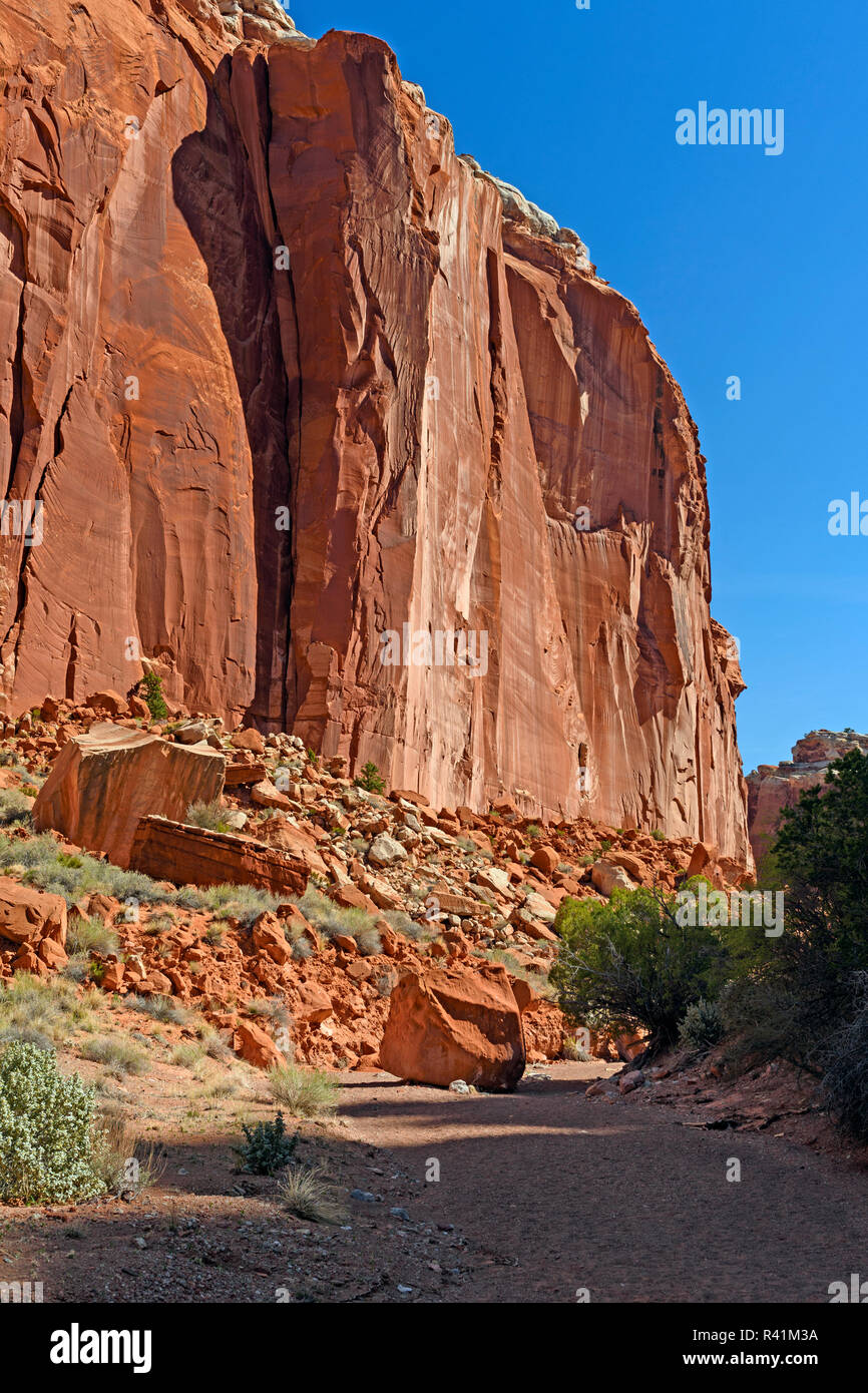 Red Rock Cliff Rising from the Canyon Floor in Spring Creek in Capitol Reef National Park in Utah Stock Photo