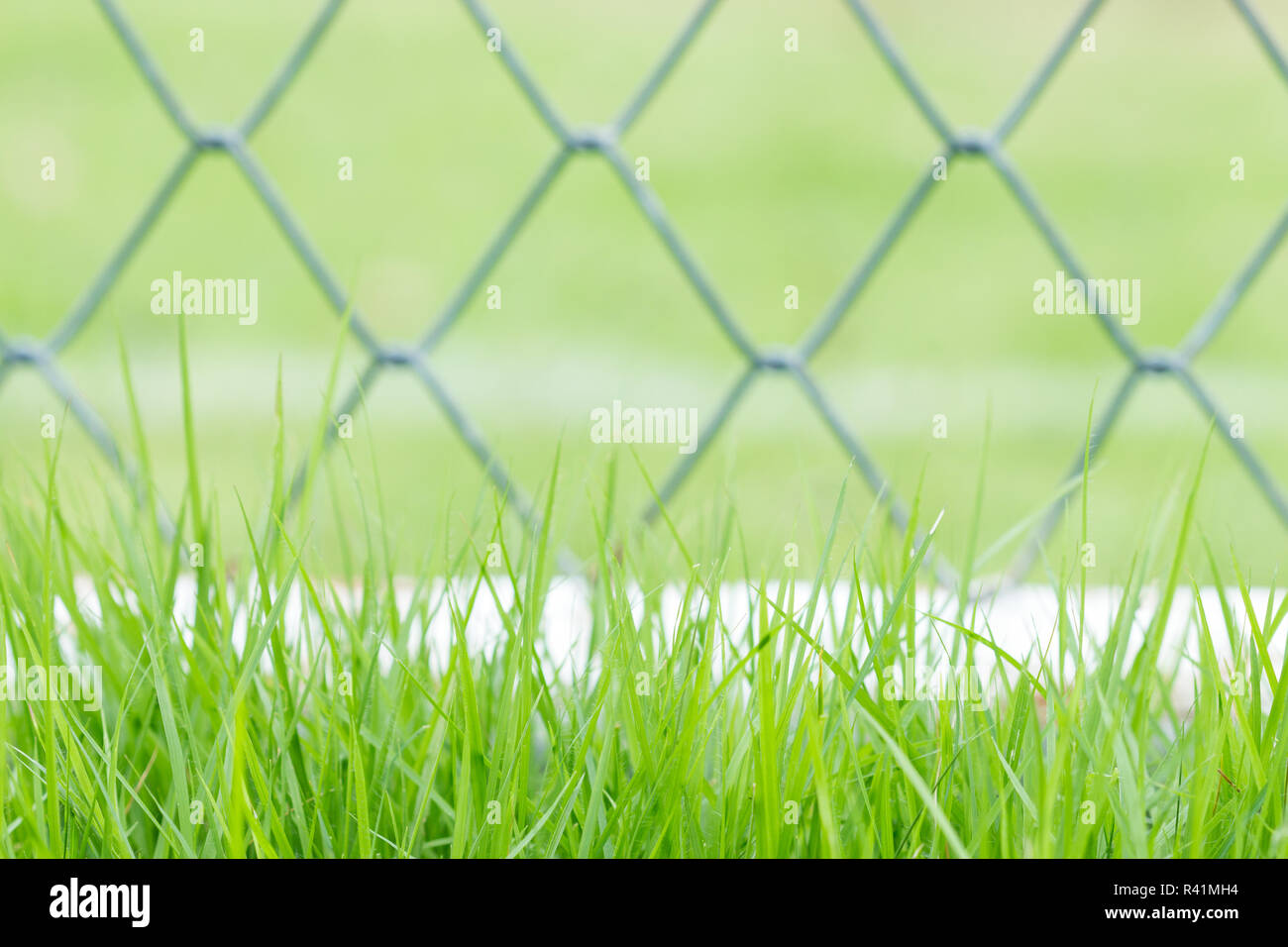 green grass and fence background Stock Photo - Alamy