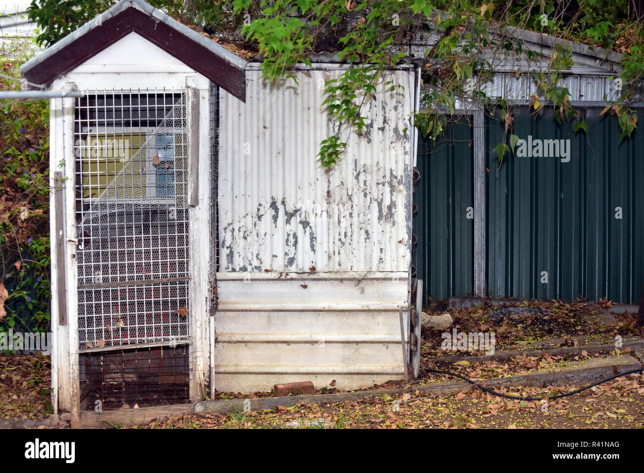 Old garden shed Stock Photo - Alamy