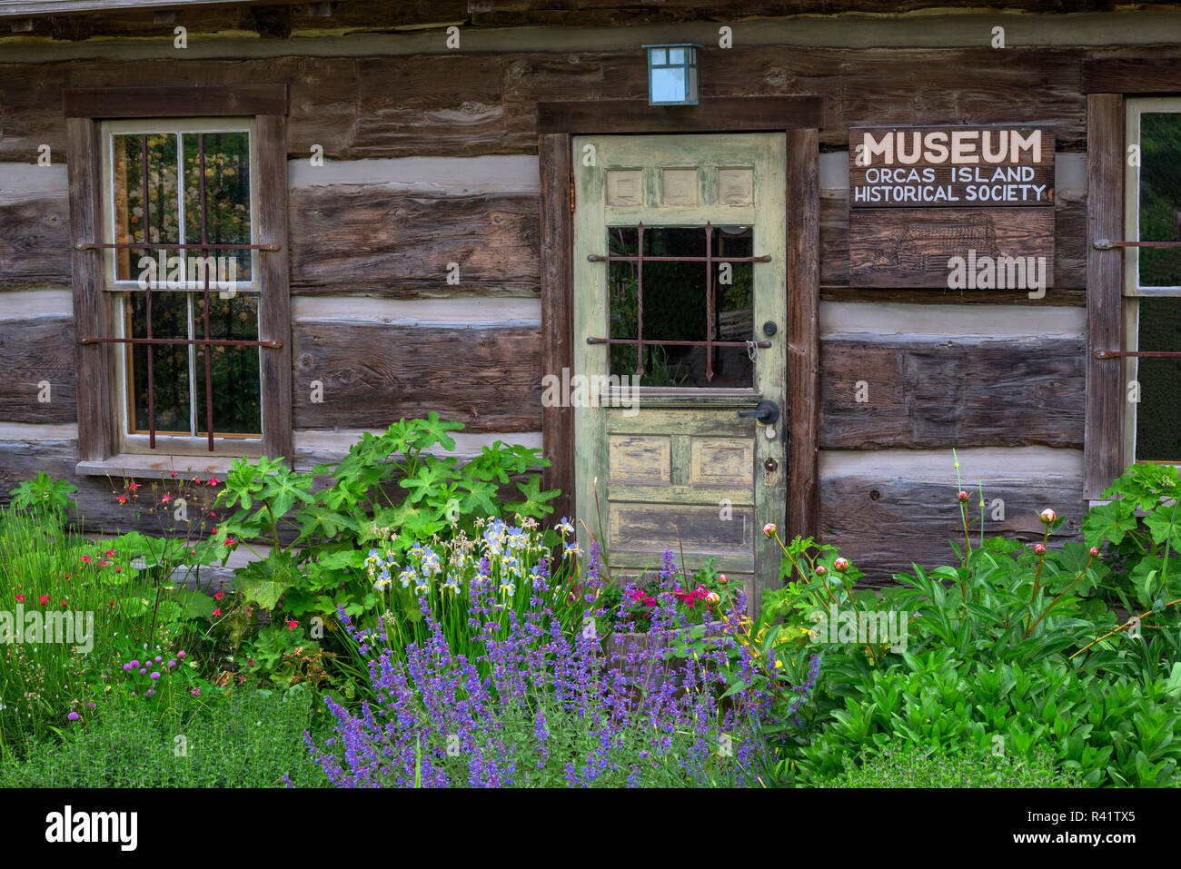 Usa Washington State San Juan Islands Orcas Island Wildflowers