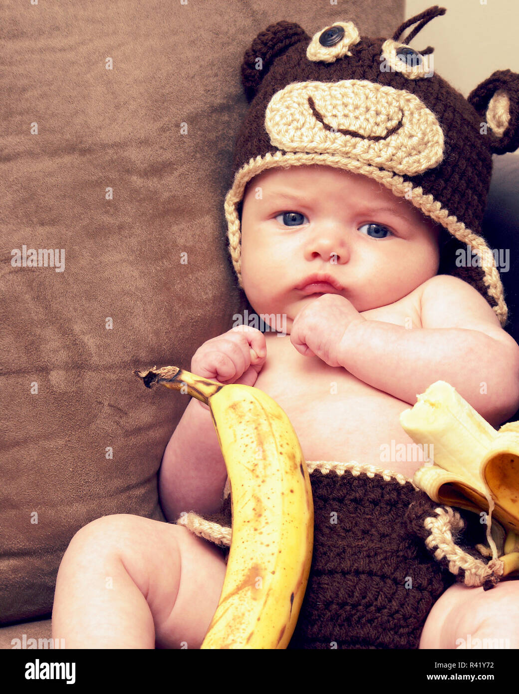 Grumpy little monkey hires stock photography and images Alamy