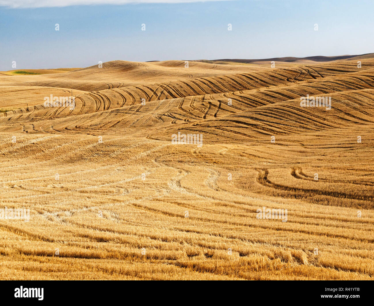 Pattern in harvested wheat fields Stock Photo - Alamy