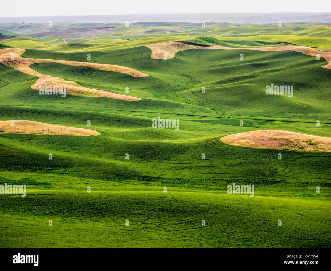 Aerial view of Palouse Region Stock Photo - Alamy