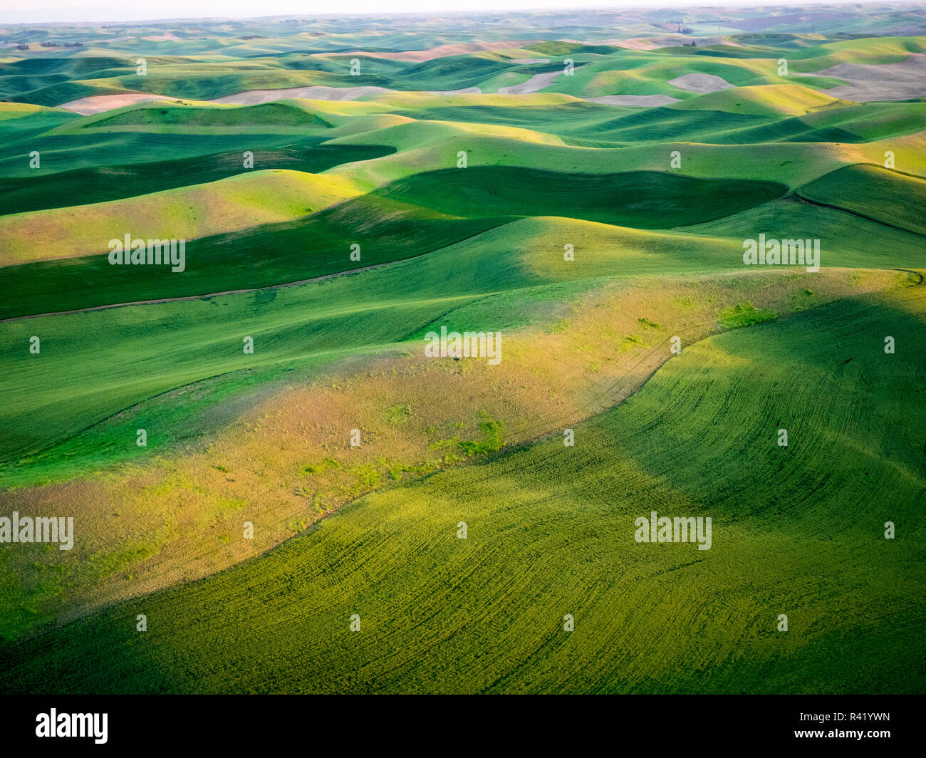 Aerial view of Palouse Region Stock Photo - Alamy