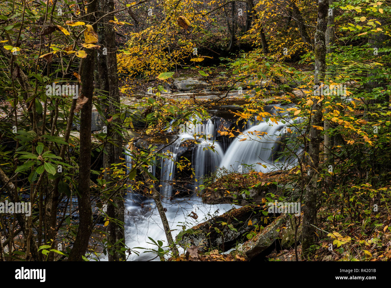 Dunloup Creek Falls in Fayette County, West Virginia, USA Stock Photo
