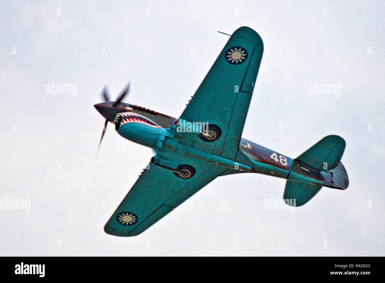 USA, Wisconsin, Oshkosh, AirVenture 2016, CAF Reception, Wittman