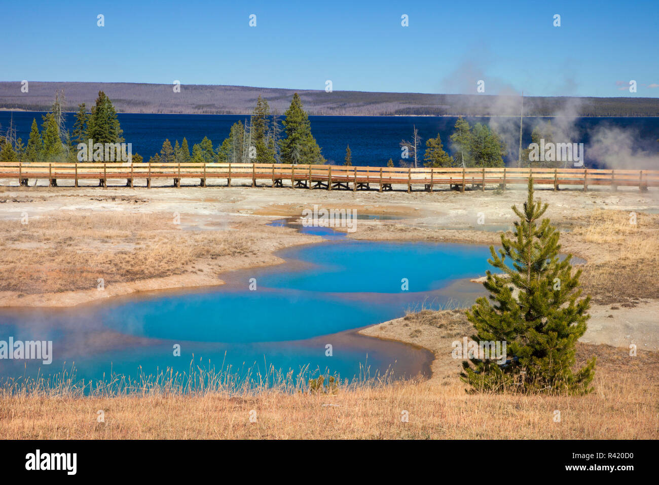 USA, Wyoming, Yellowstone National Park. Abyss Pool and walkway. Stock Photo