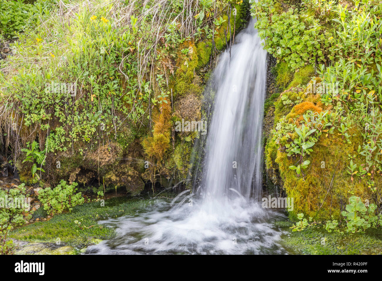 USA, Wyoming, Sublette County. Kendall Warm Springs, a small waterfall flowing over a mossy ledge. Stock Photo