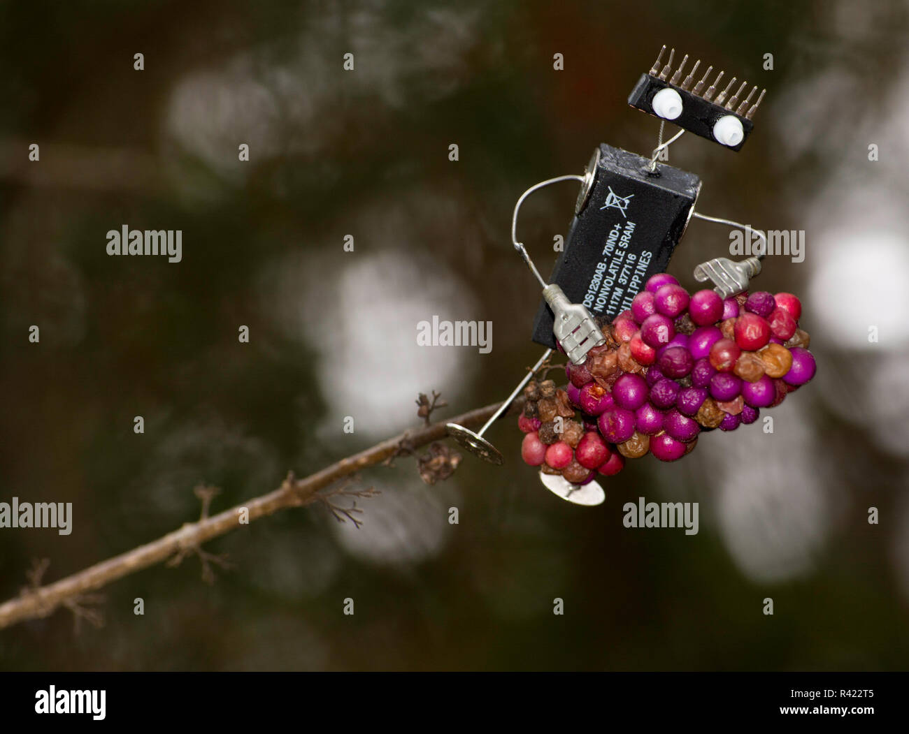 Robotic character out on a limb full of berries Stock Photo