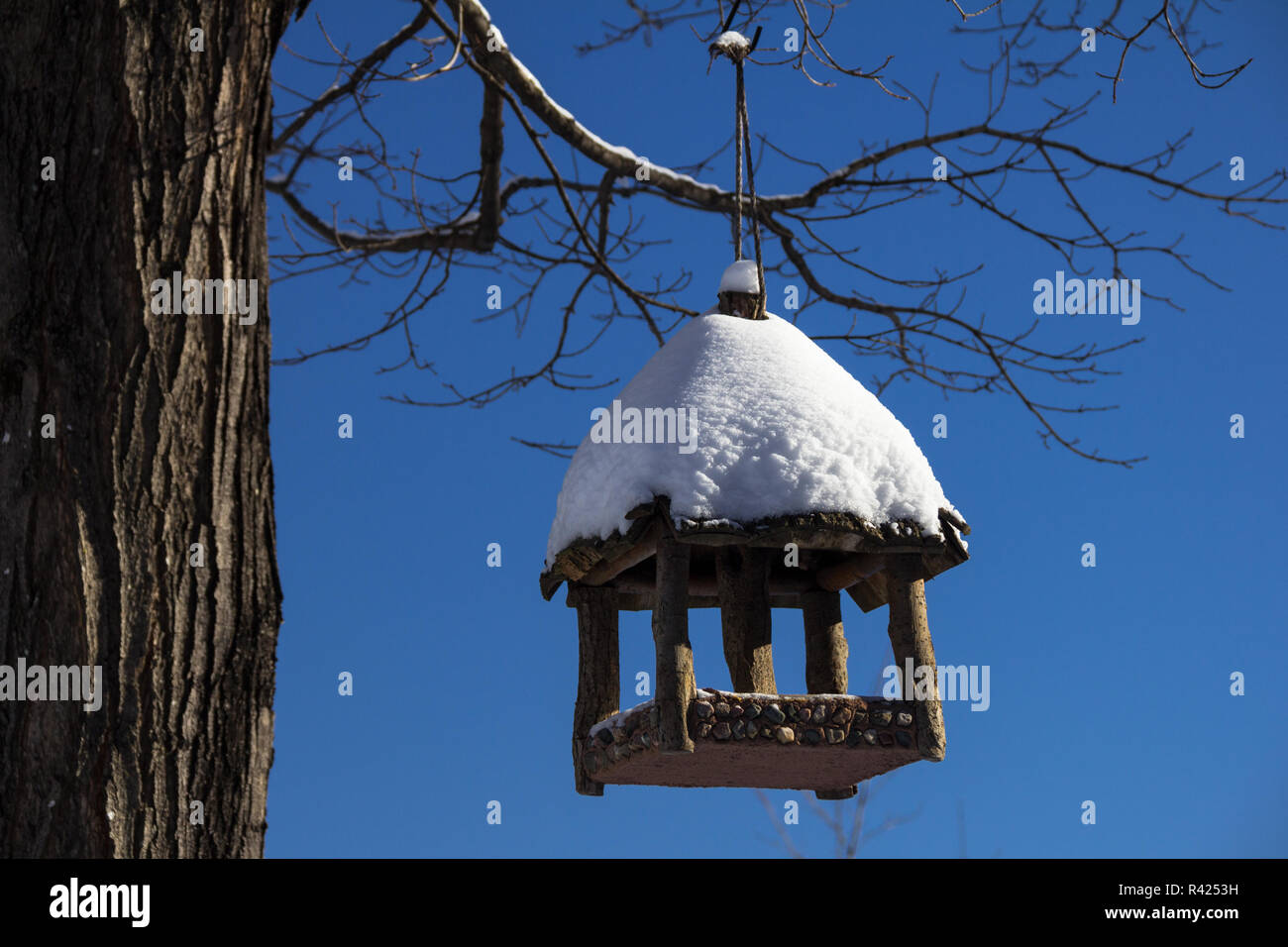 Birdhouse Hanging From A Tree Stock Photo Alamy