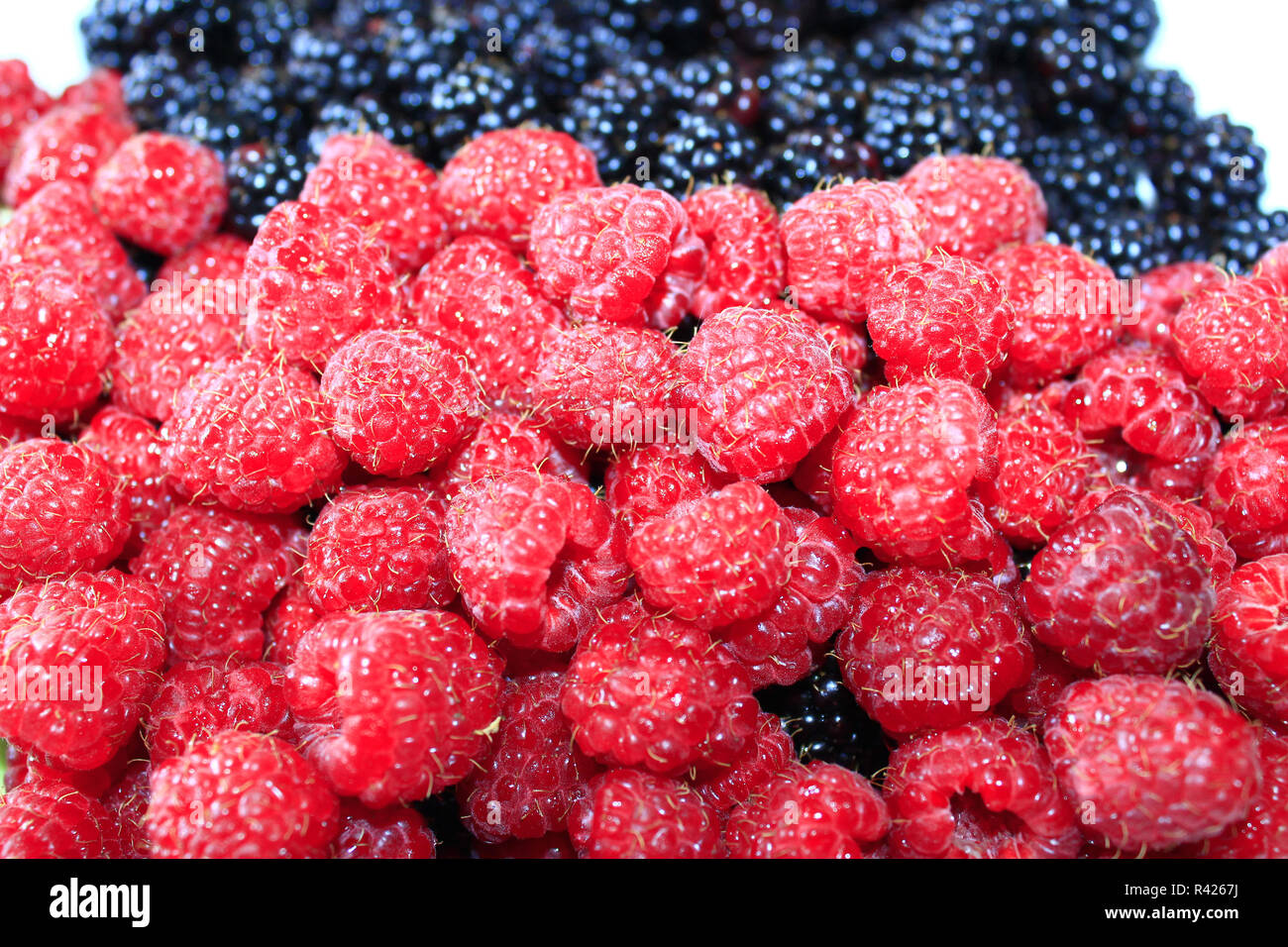 blackberries and raspberry Stock Photo Alamy