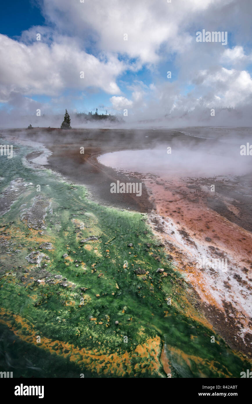 USA, Wyoming. Geothermal area and colorful thermophile designs of Norris Geyser Basin, Yellowstone National Park. Stock Photo