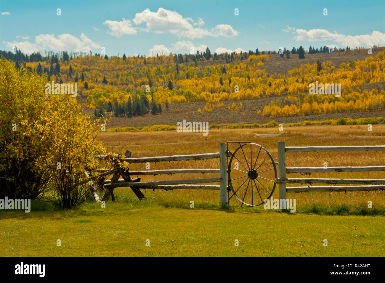 Moran Wyoming Stock Photos Moran Wyoming Stock Images Alamy