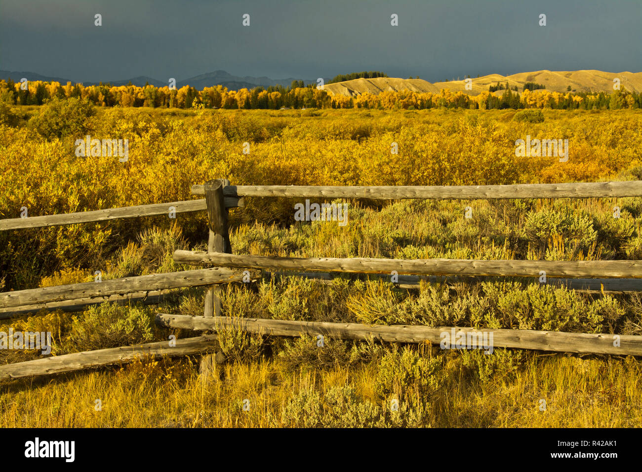 Autumn landscape, Cunningham Cabin area, Grand Teton National Park, Wyoming, USA Stock Photo