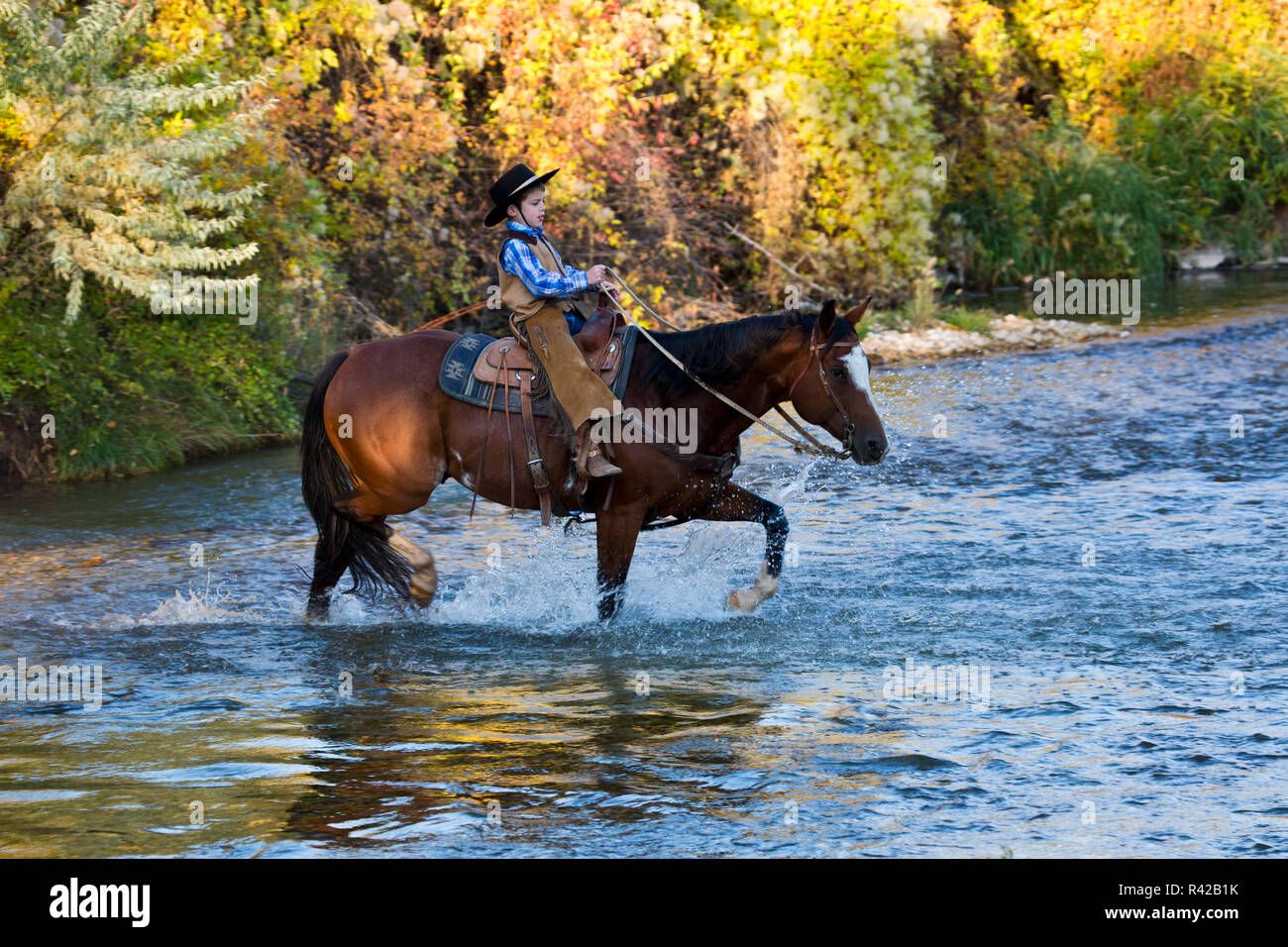 USA, Wyoming, Shell, Young Cowboy and His Horse Crossing River (MR) Stock Photo