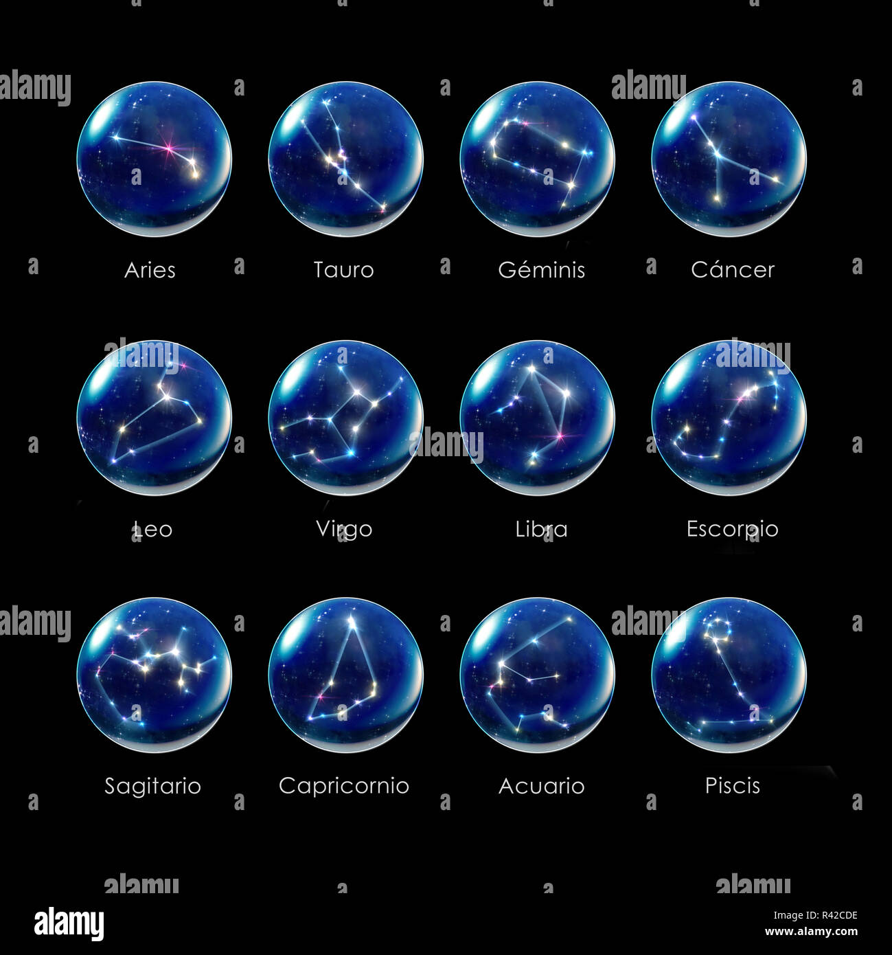 Spanish scorpion hires stock photography and images Alamy