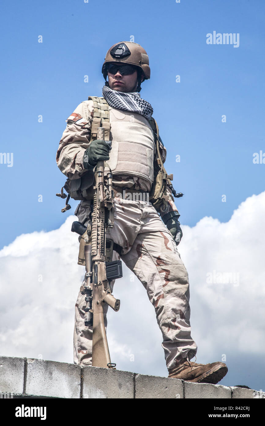 Navy Seal sniper with rifle in action Stock Photo - Alamy Navy Seal sniper with rifle in action Stock Photo - Alamy