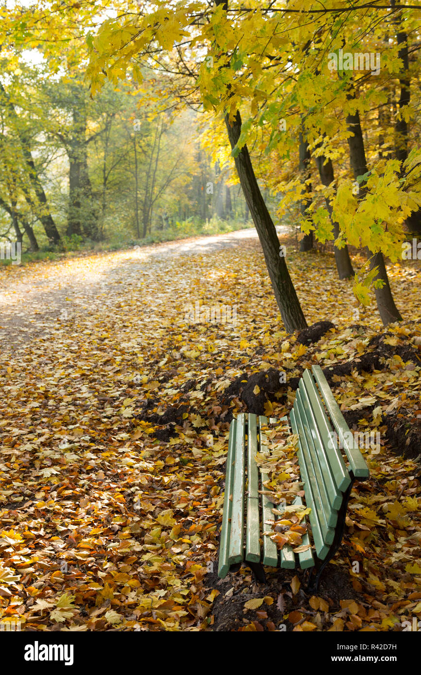 park bench with autumn leaves Stock Photo