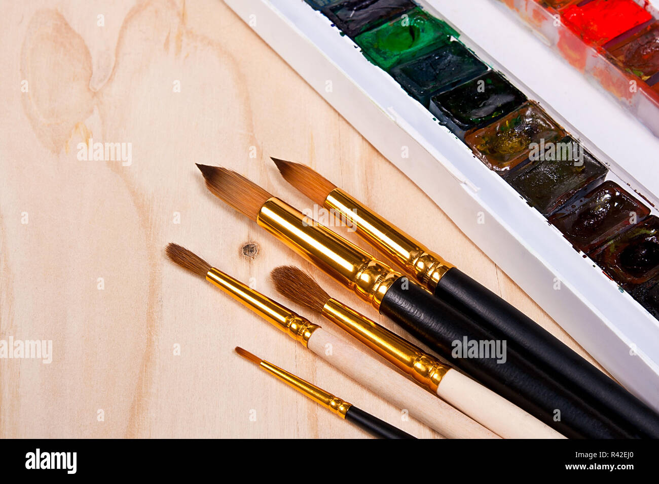 Professional watercolor paints in box with brushes. Stock Photo