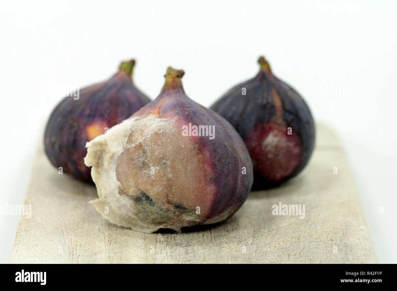 Fruit putrefaction hires stock photography and images Alamy