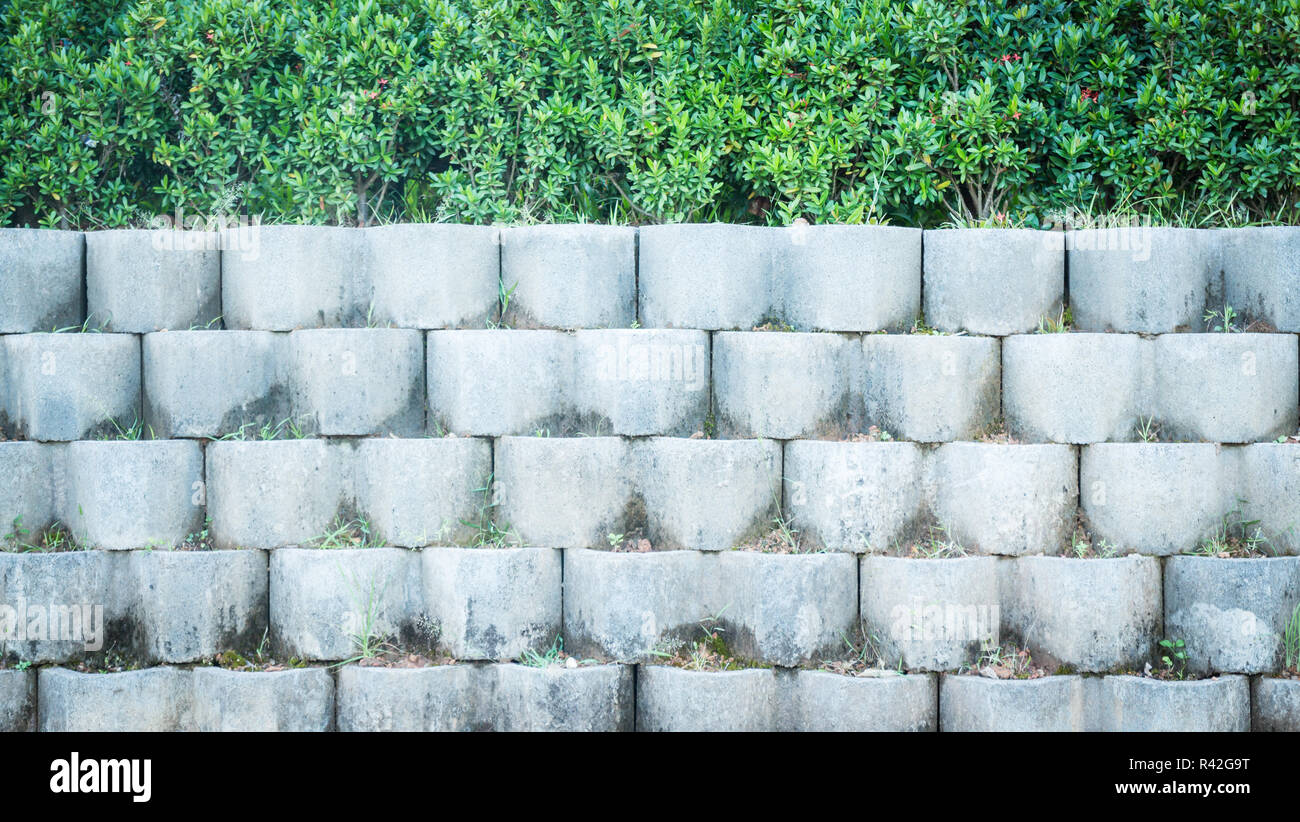 Grey brick block wall in the garden Stock Photo