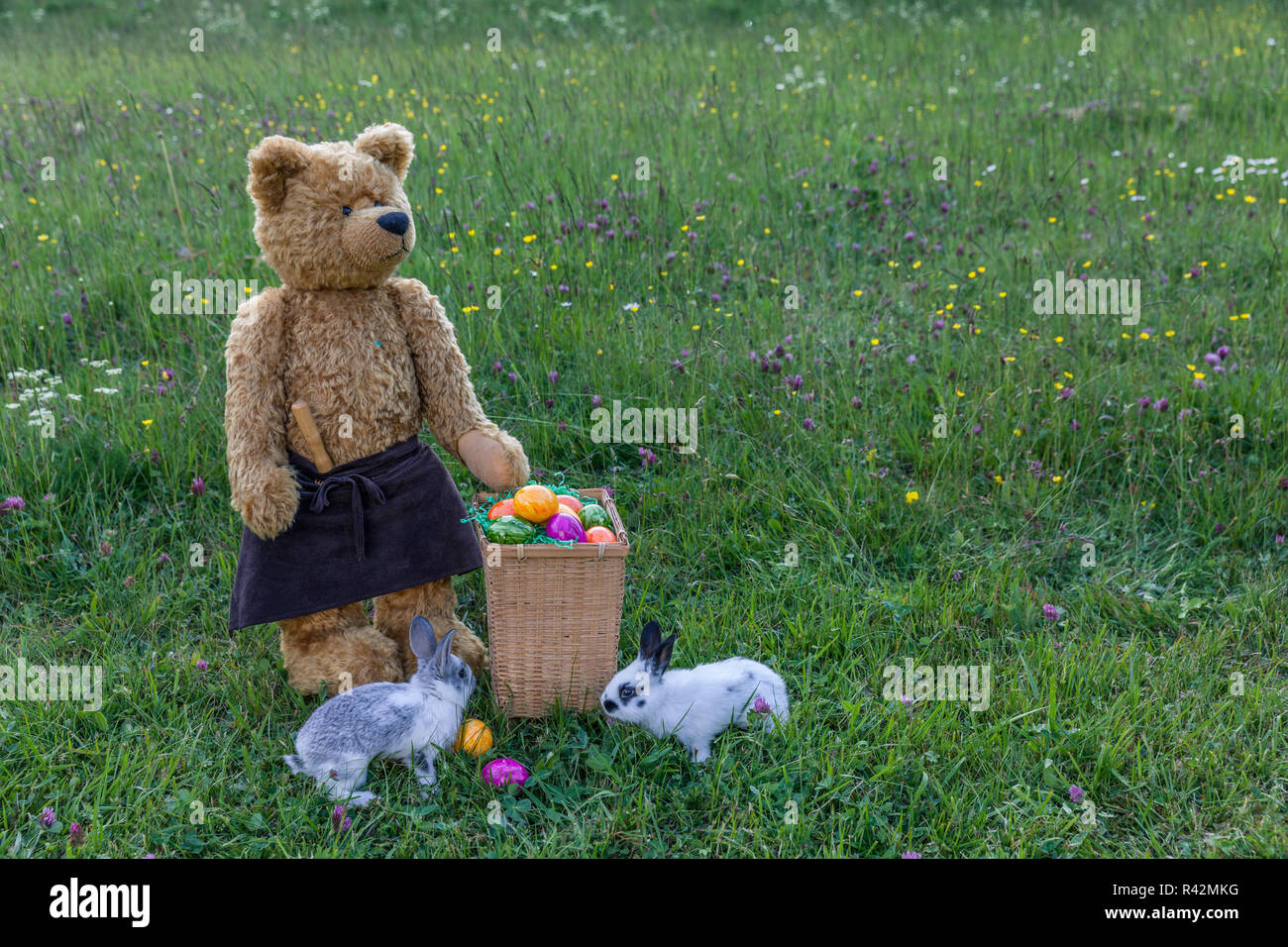 martin bears Stock Photo