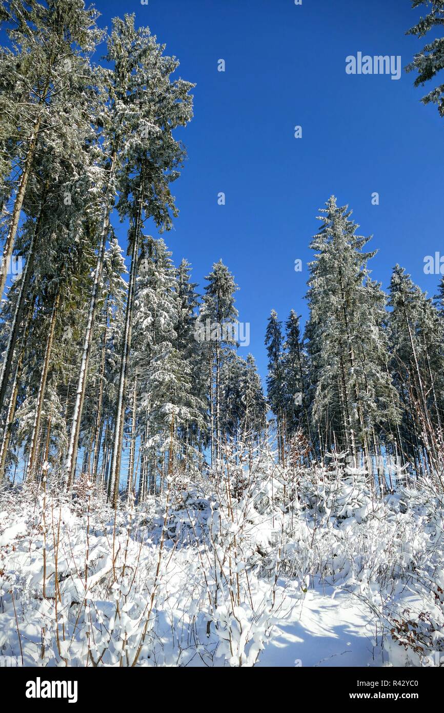 winter in germany Stock Photo Alamy